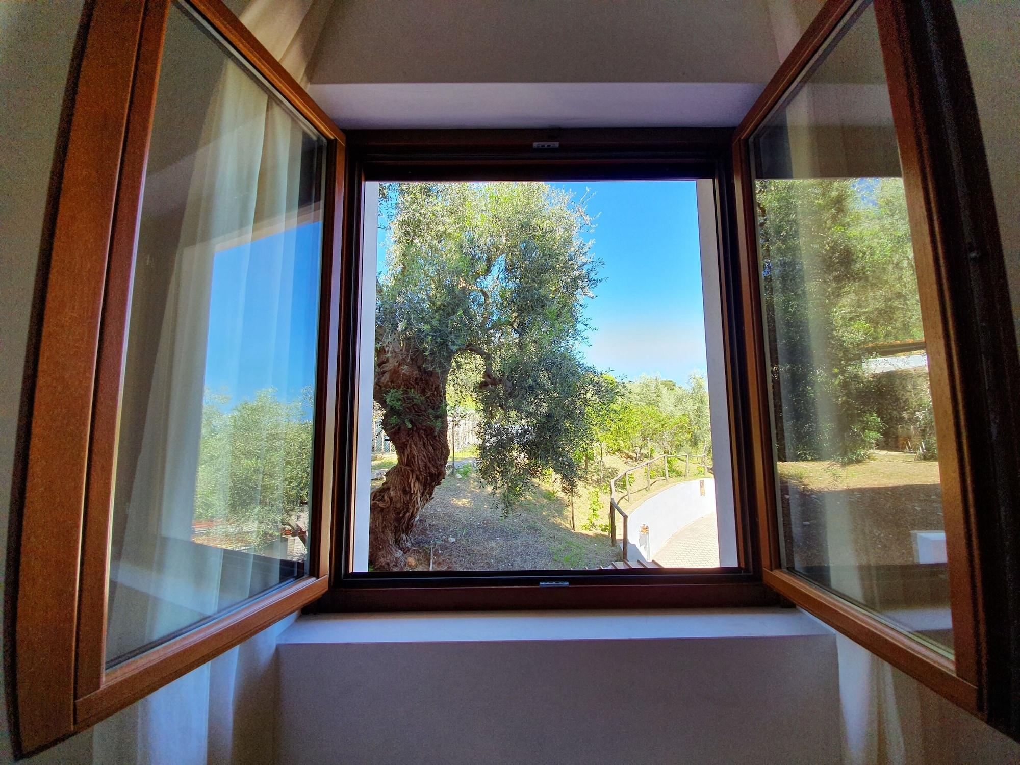 Hotel Delle More Vieste Eksteriør billede